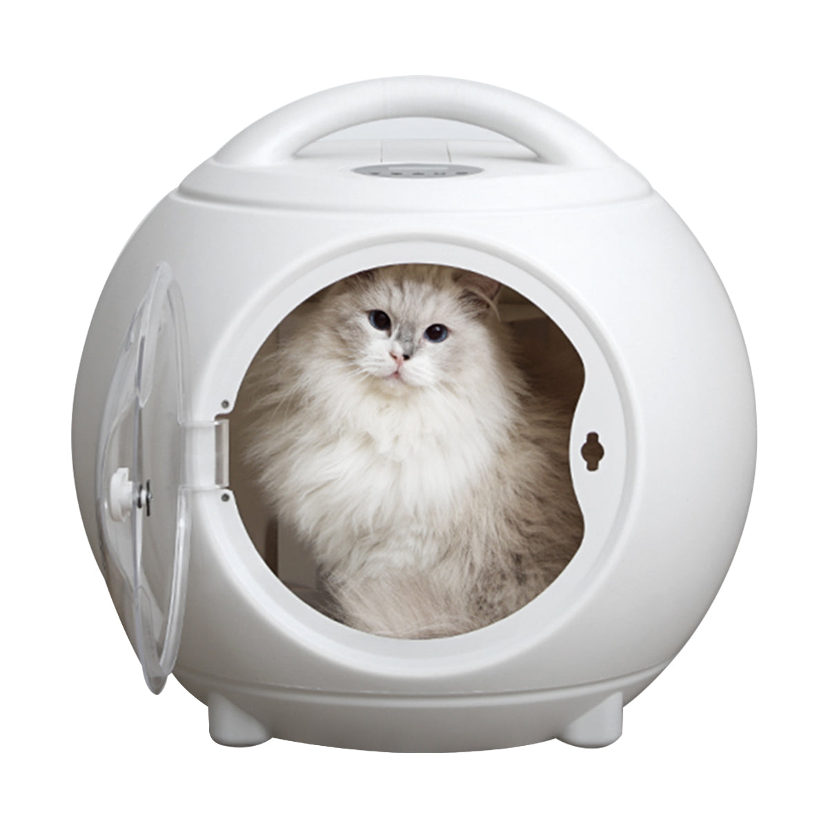 Fluffy cat sitting inside an automatic pet dryer box with handle, featuring a transparent door and rounded design for home grooming comfort.