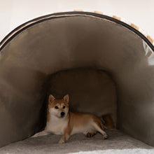 Large Interior space Pet House