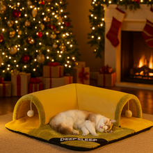 Christmas Cat Mat