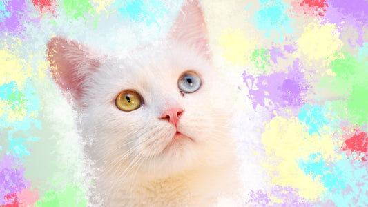 Do Cats Have Favorite Colors? A Look into Your Cat’s Colorful World
