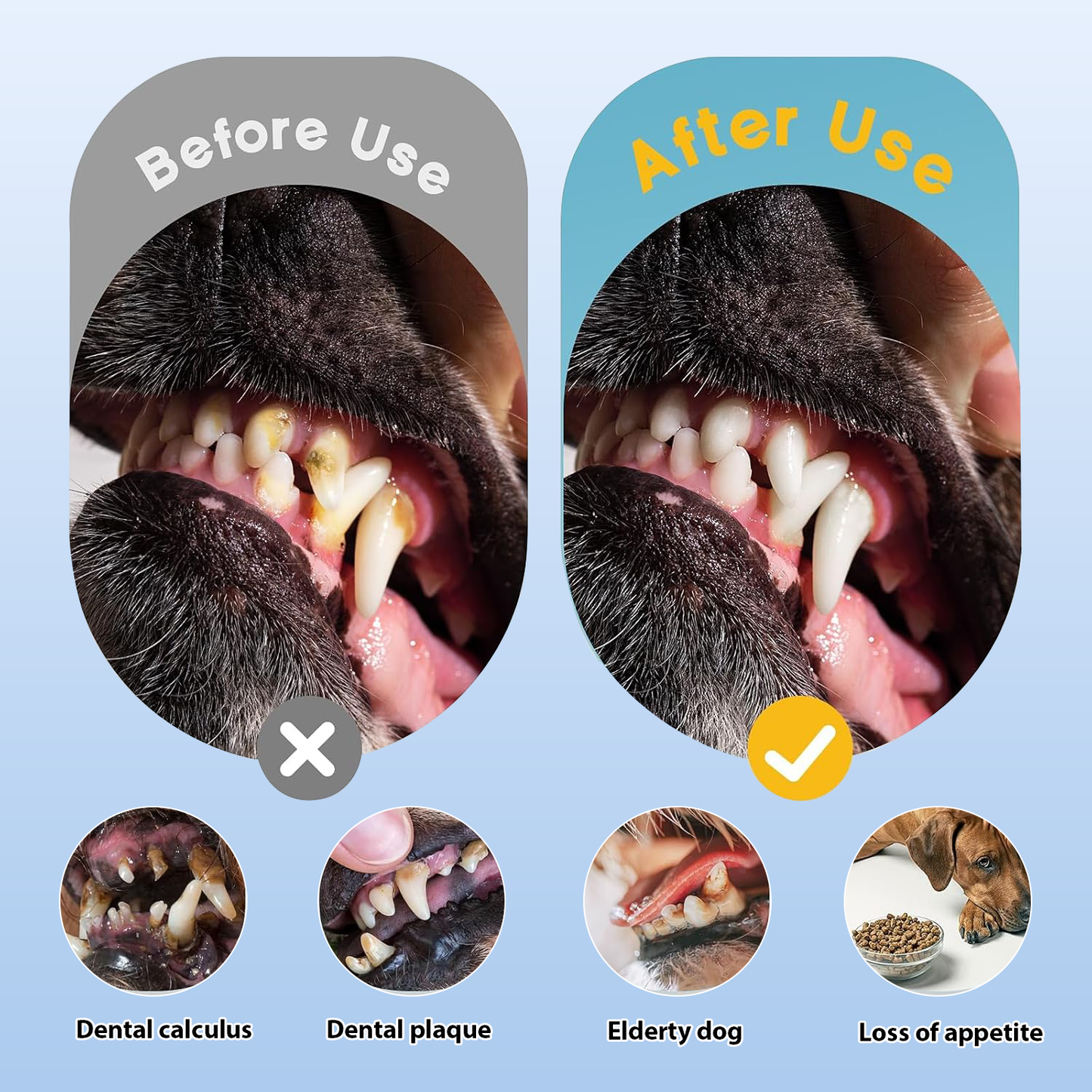 3-in-1 Dog Electric Toothbrush