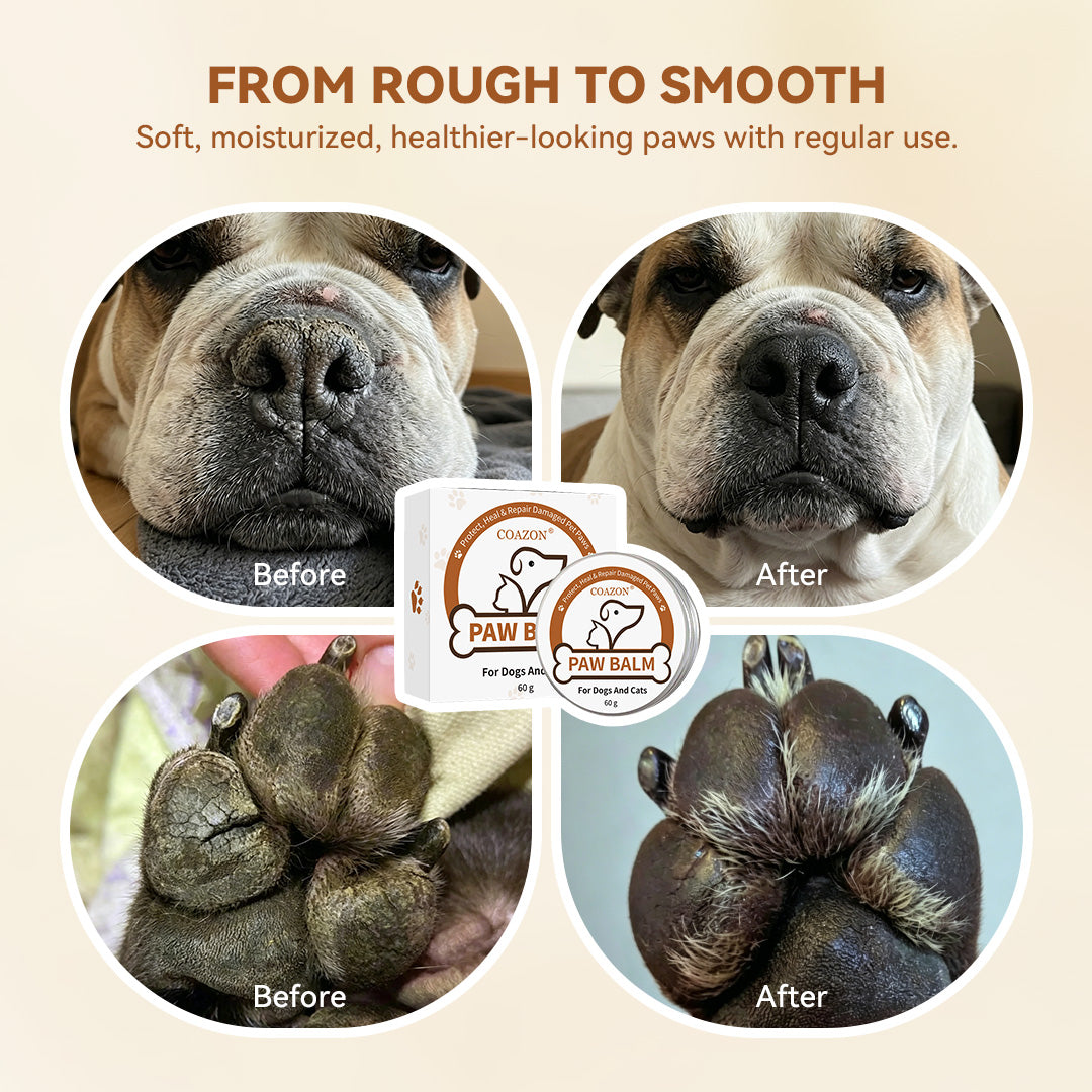 Lick-Safe Paw Balm for Dogs & Cats