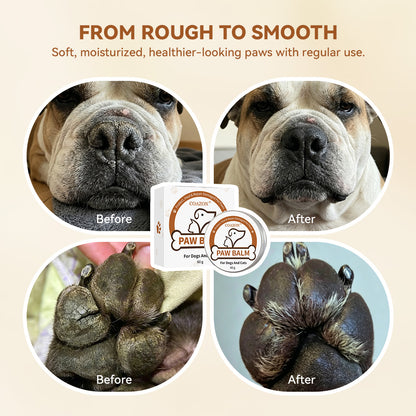 Lick-Safe Paw Balm for Dogs & Cats