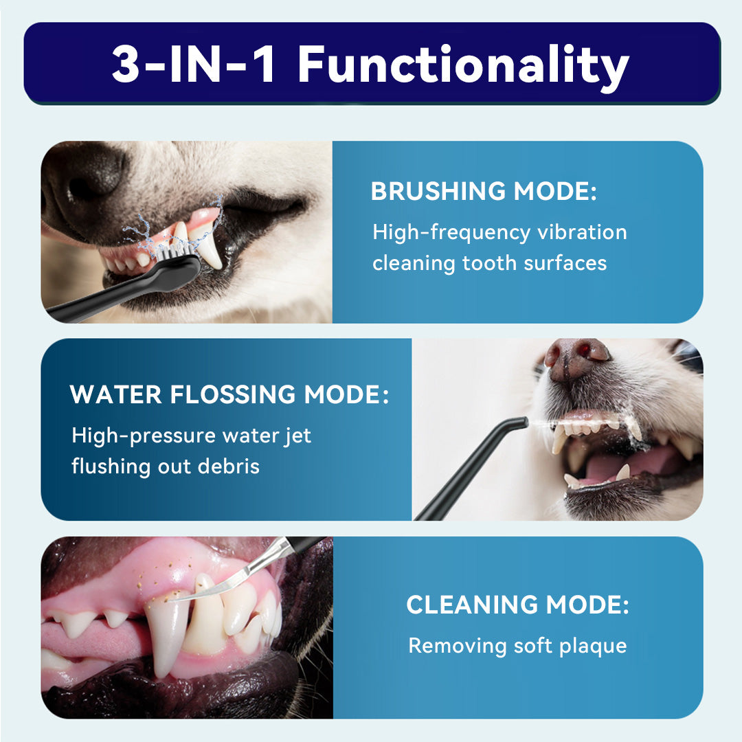 3-in-1 functionality illustration showing brushing mode with high-frequency vibration, water flossing mode with high-pressure jet, and cleaning mode for removing soft plaque.