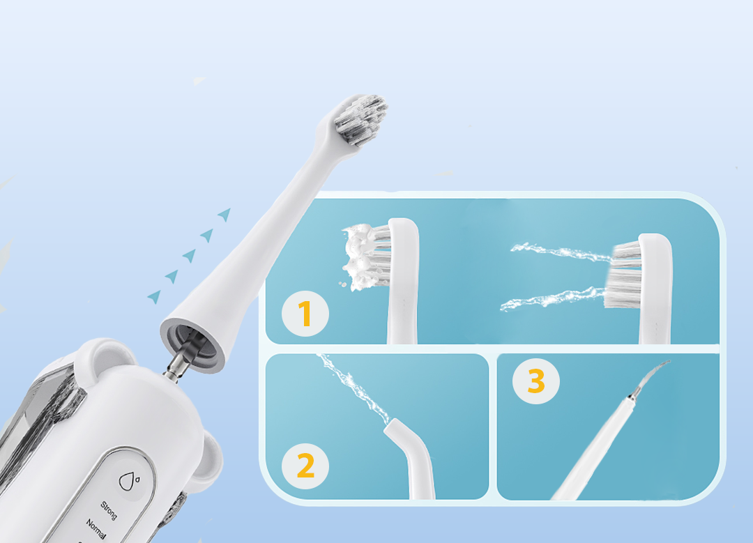Three replacement heads for dog electric toothbrush