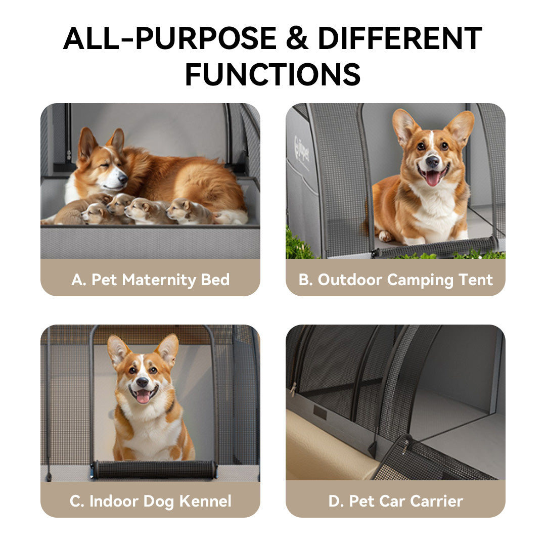 CC17 Soft-Sided Car Pet Carrier Crate for Cats & Small Dogs