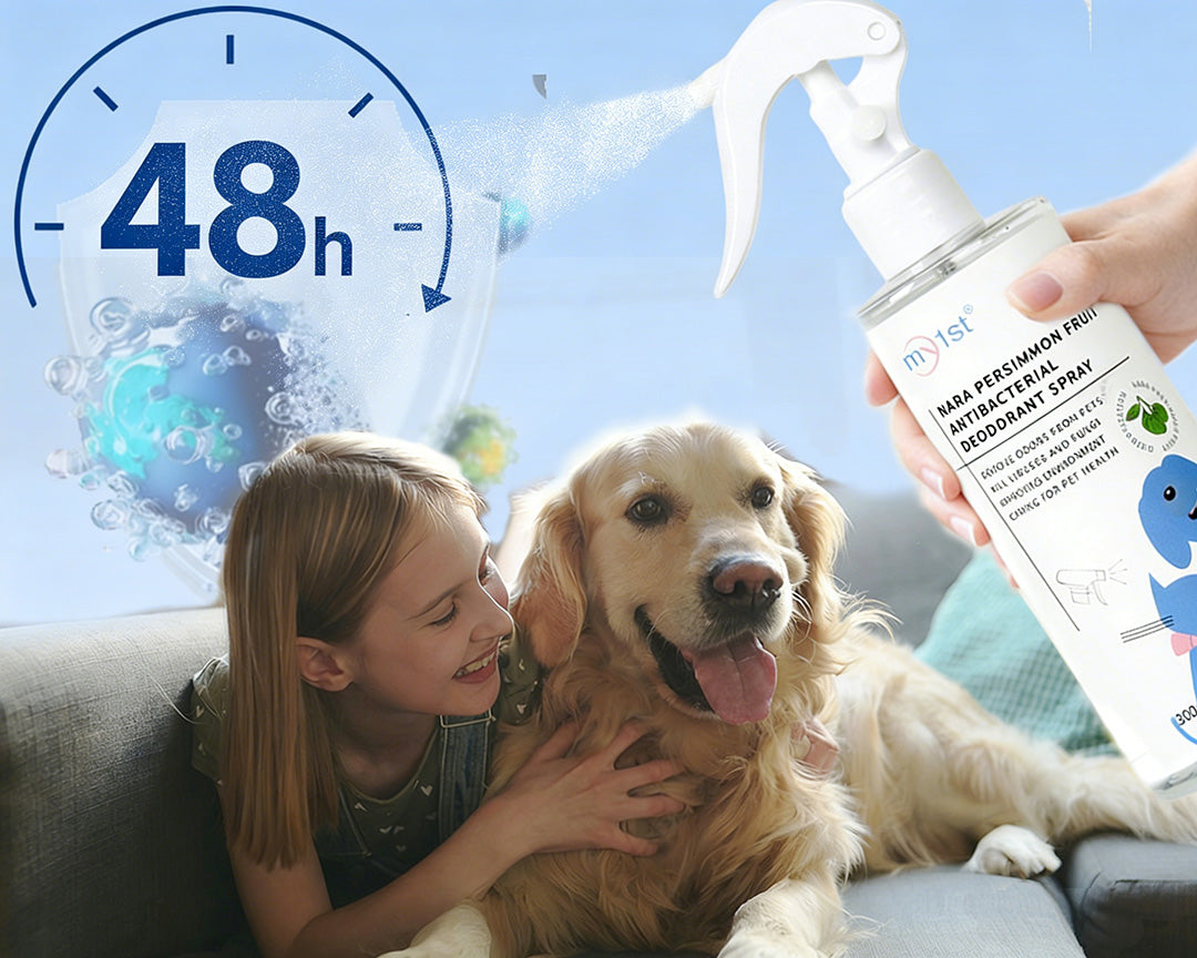 Anti Pet Smell Spray provides 48 hours Long-Lasting Freshness