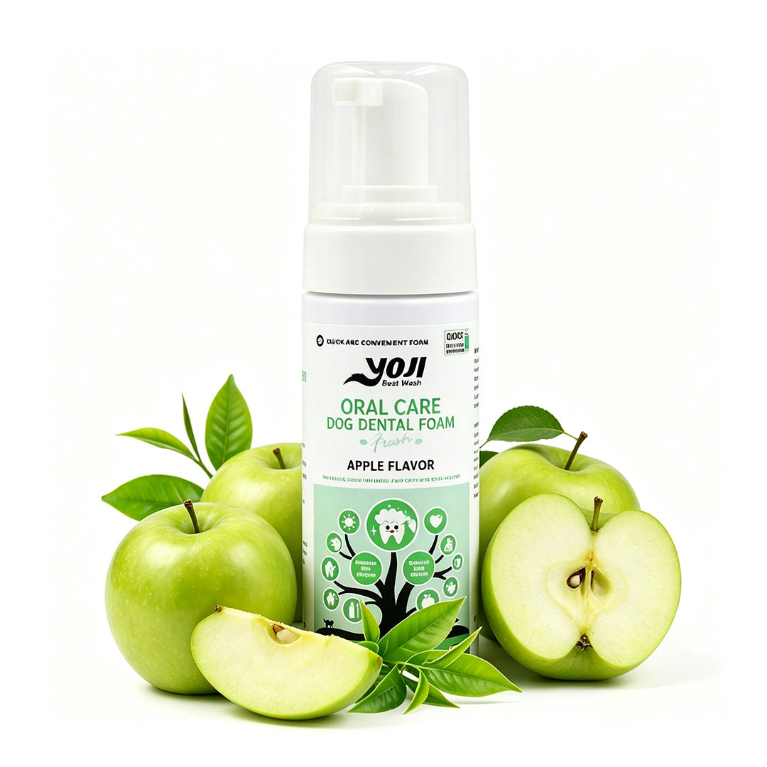 Oral care dog dental foam bottle in apple flavor for daily pet breath care