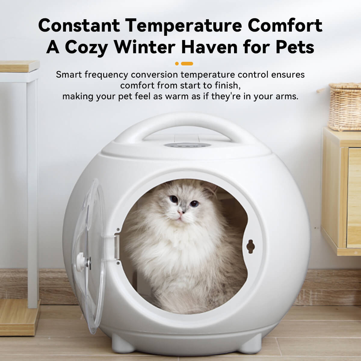 Fluffy long-haired cat sitting inside an automatic pet dryer box with handle, featuring constant temperature control for cozy winter drying.