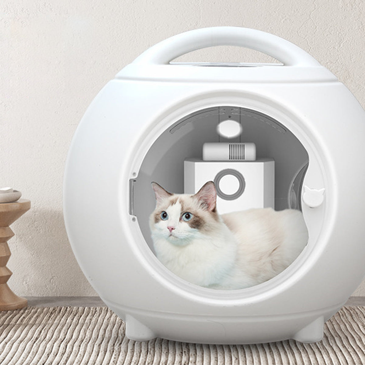 Ragdoll cat resting inside an automatic pet dryer box with handle, designed for safe and comfortable drying in a modern home environment.