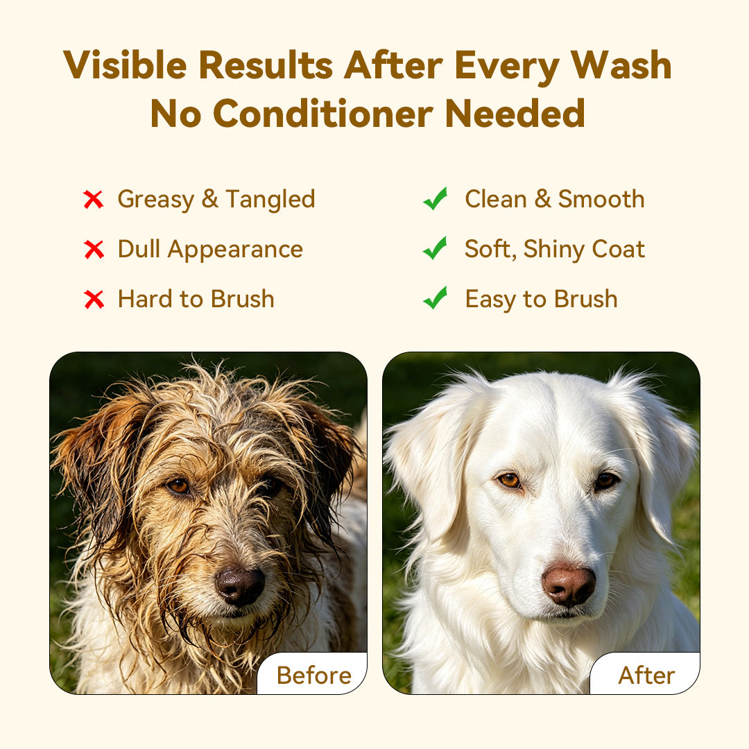 Before and after comparison showing a dirty, tangled dog coat before washing and a clean, smooth white dog coat after using dog shampoo and conditioner, with benefits like soft shiny coat and easy brushing.