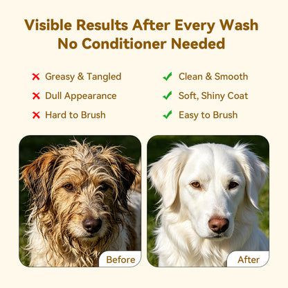Before and after comparison showing a dirty, tangled dog coat before washing and a clean, smooth white dog coat after using dog shampoo and conditioner, with benefits like soft shiny coat and easy brushing.