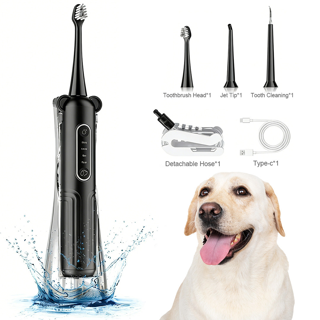  Product accessories including toothbrush head, jet tip, tooth cleaning tool, detachable hose, and Type-C charging cable