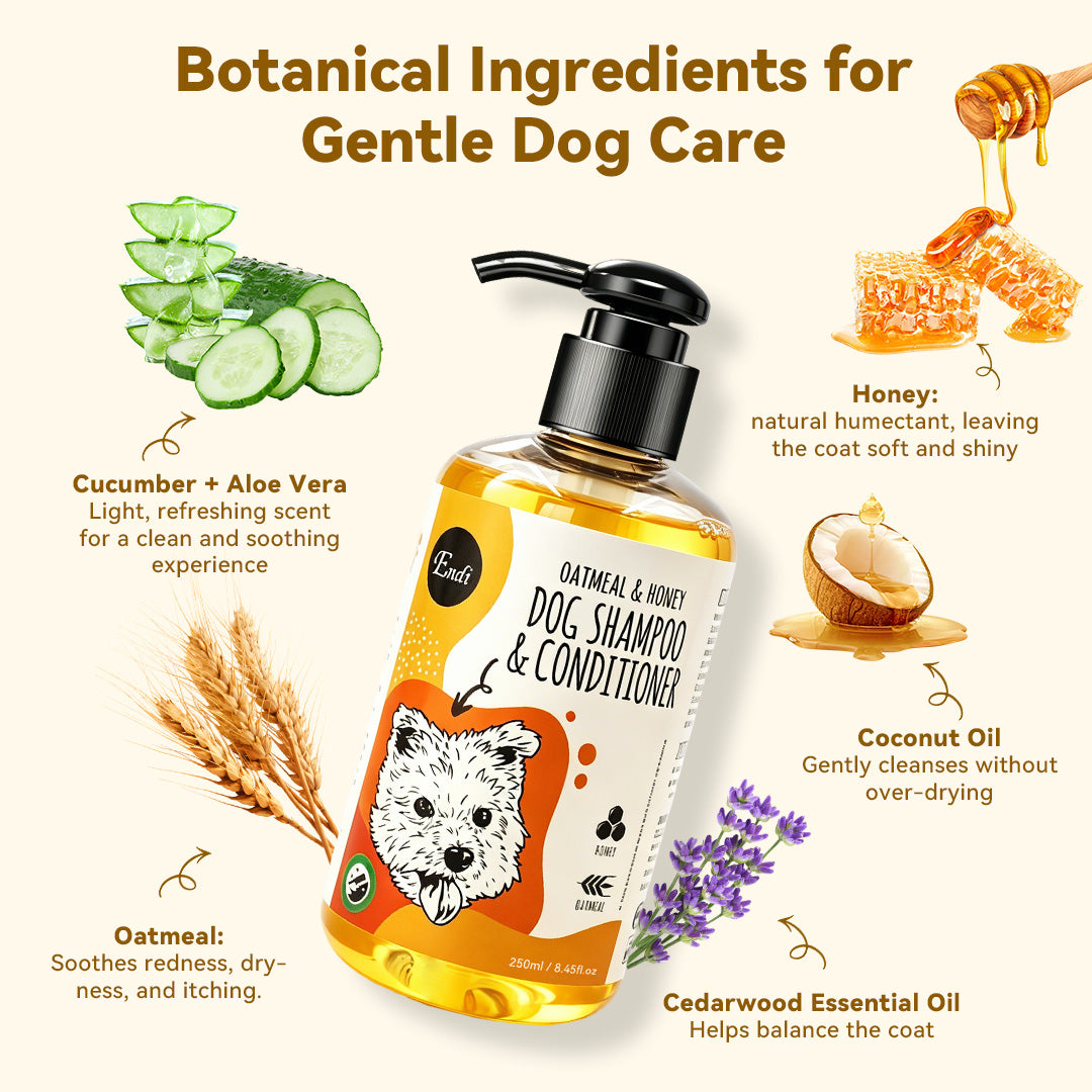 Oatmeal and honey dog shampoo bottle surrounded by botanical ingredients including cucumber, aloe vera, honey, coconut oil, oatmeal and lavender, highlighting gentle cleansing and coat care benefits.