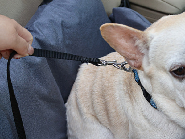 CS49 Dog Car Safety Seat with Safety Harness Strap