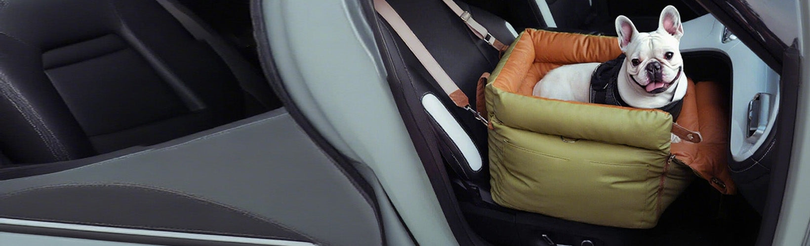 CS55 Pet Booster Car Seat Banner