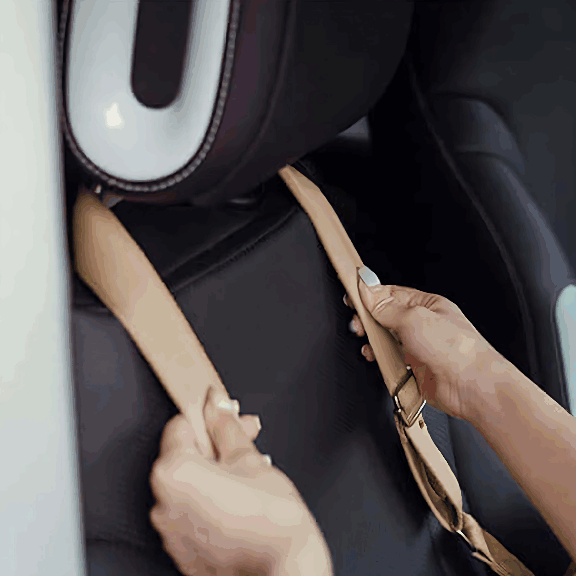 CS55 Pet car Booster Seat with Adjustable Safety Rope