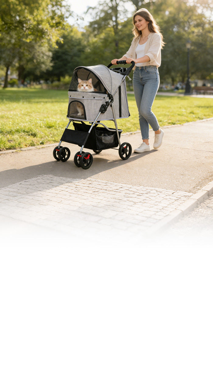 Cat sitting in a comfortable pet stroller with ventilated mesh panels, safety leash, and foldable design for travel