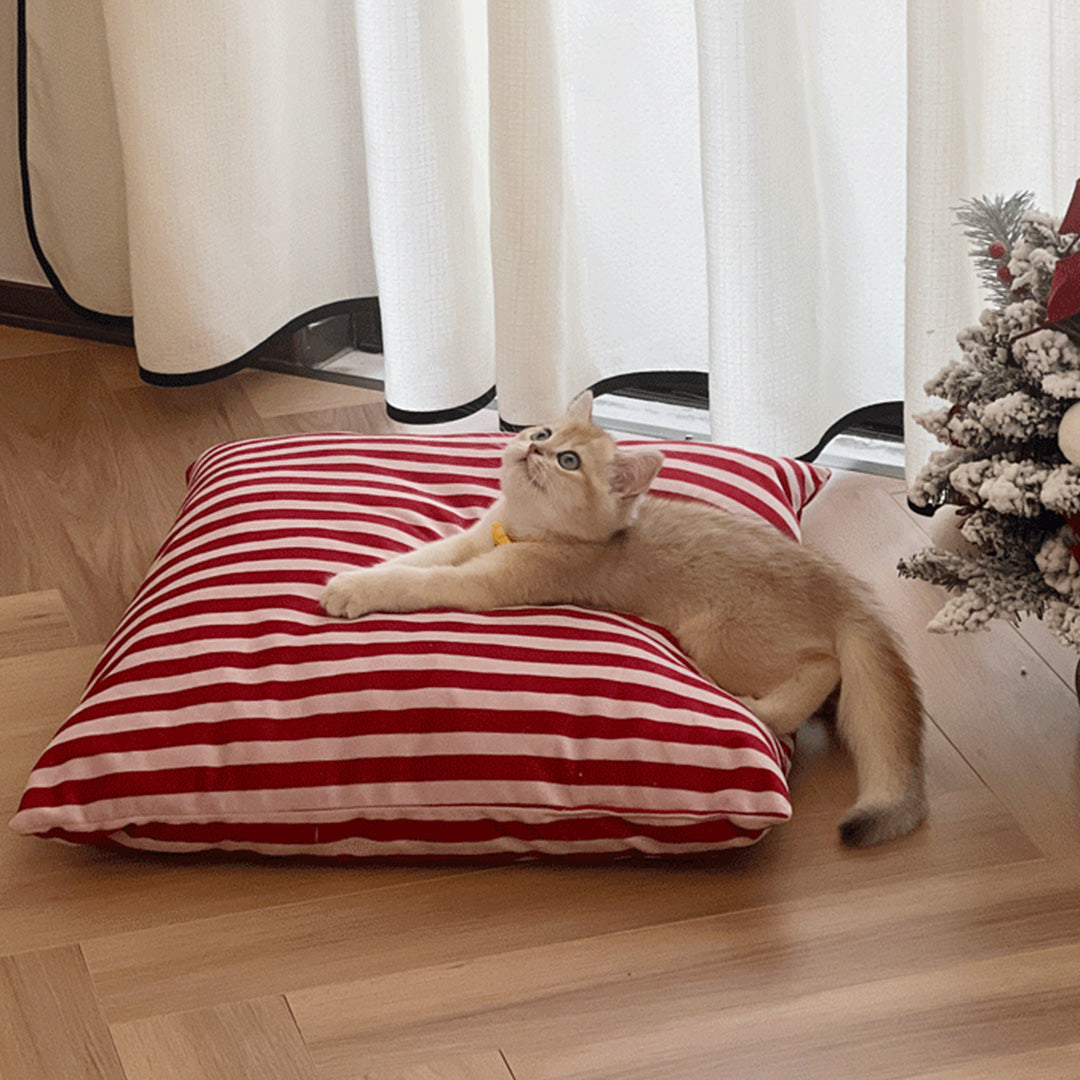 Cozy PB55 Cat Tent indoor with 10cm Cushion