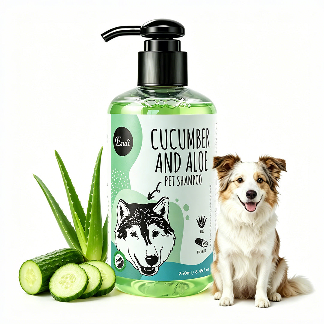 Cucumber and aloe pet shampoo bottle with fresh aloe vera, cucumber slices and a smiling dog on a clean white background.