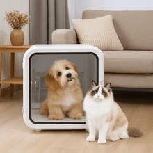 DL62 62L Large Square Smart Dryer Box for Pets