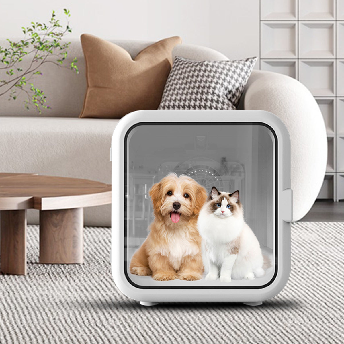 DL62 Smart Pet Dyer Box