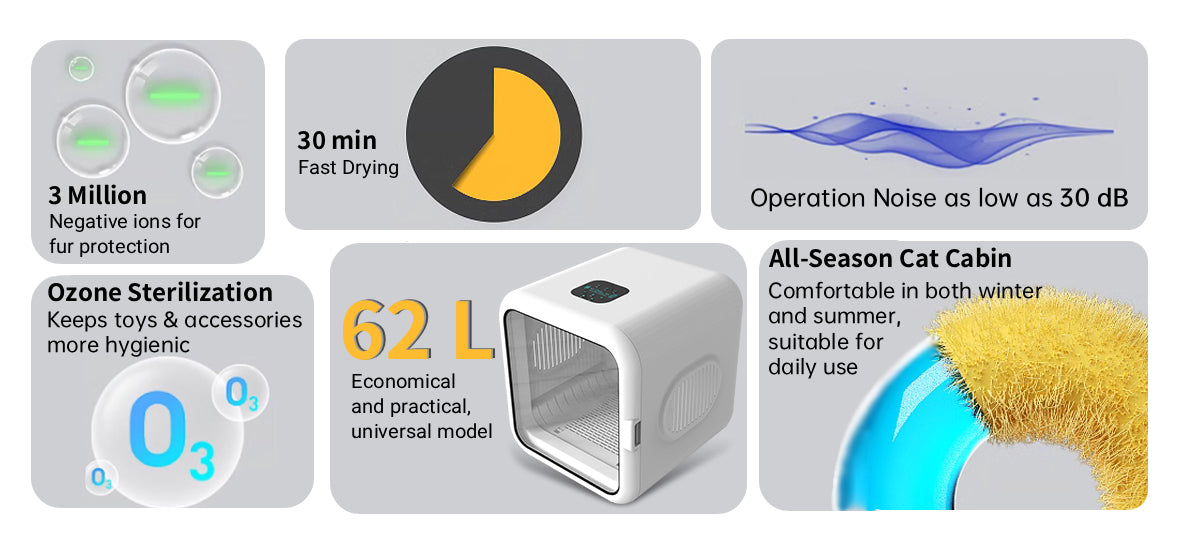 DL62 Square Smart Pet dryer Box Overviews
