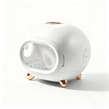 DT45 - Smart Cat Dryer Box Cat Hair Blower