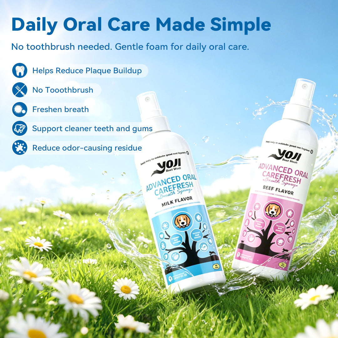 Daily oral care spray for pets helps reduce plaque buildup freshen breath and support cleaner teeth and gums