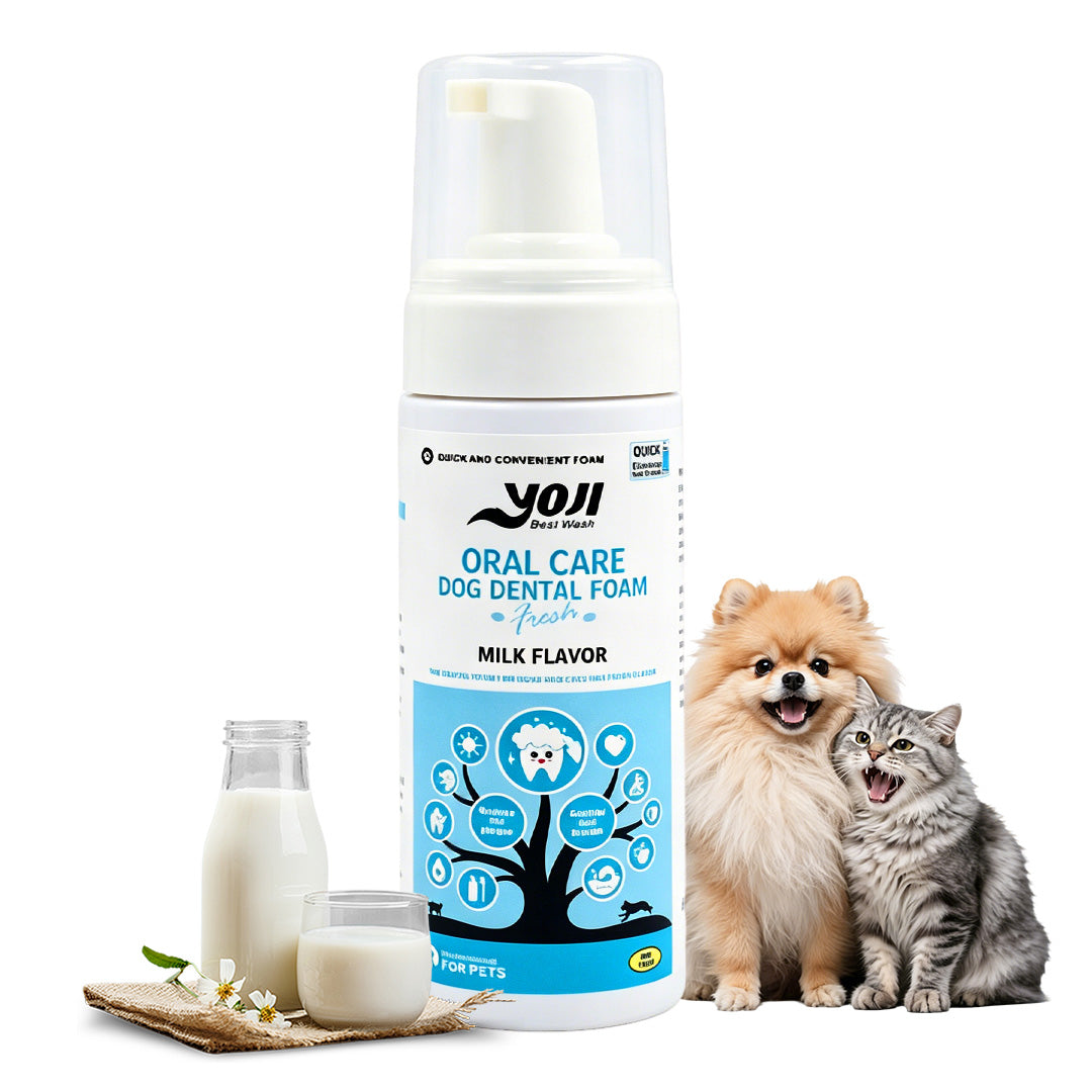 Oral care dog dental foam bottle in milk flavor for daily pet breath care