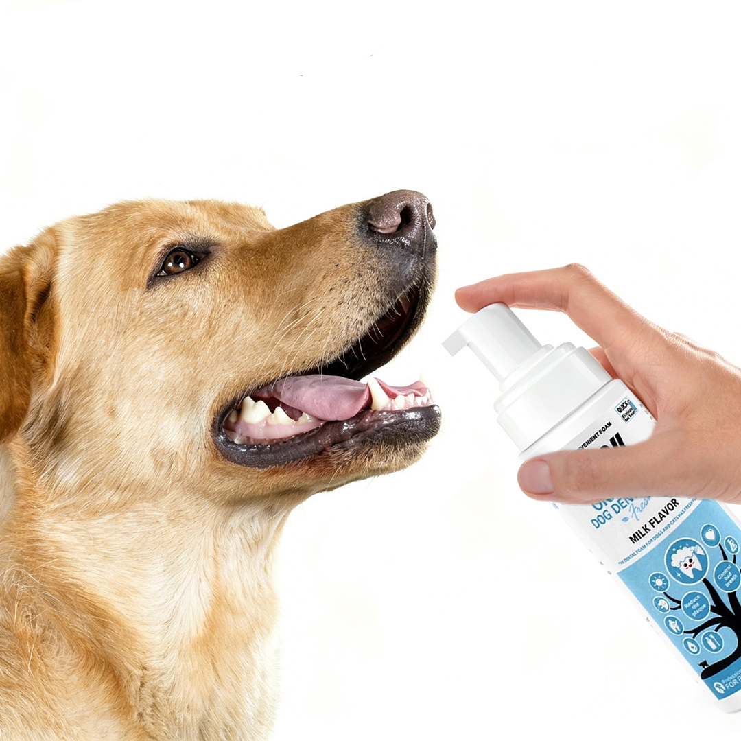Pet parent applying dental foam to a dog’s teeth and gum line for daily oral care