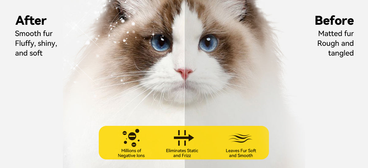 Effect of using pet drying box