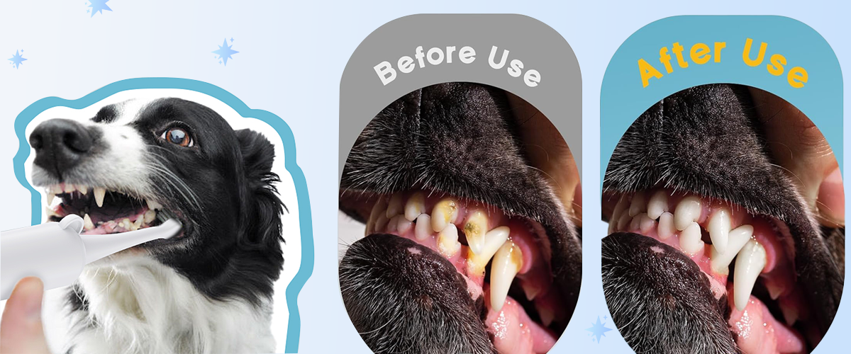 Electric pet toothbrush before and after use comparison