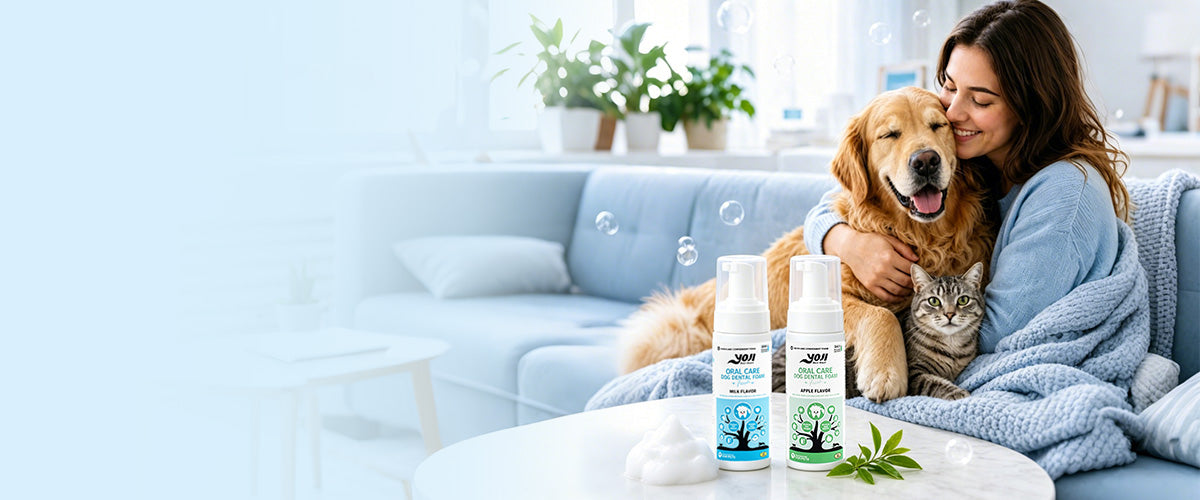 Pet owner cuddling with dog and cat after fresh breath dental care routine