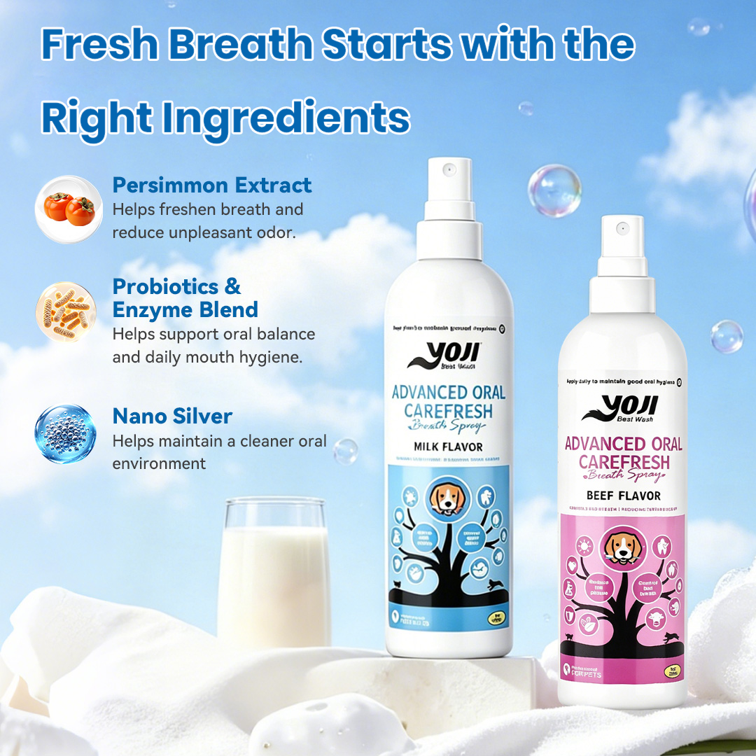 Pet dental spray ingredients with persimmon extract, probiotics enzyme blend, and nano silver for fresh breath oral care