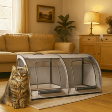 Grey Crate for new recovery cat