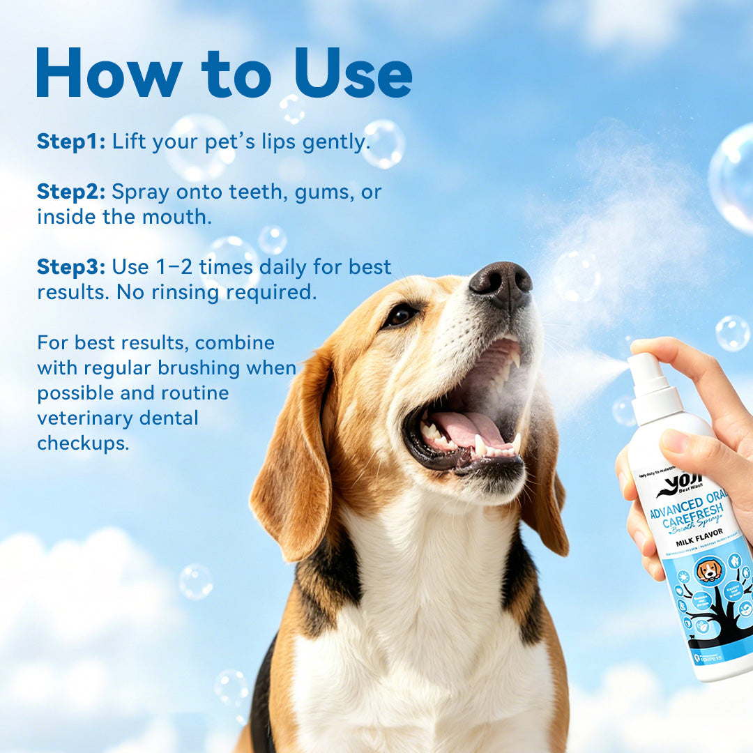 How to use pet dental spray by lifting pet lips and spraying onto teeth gums or inside the mouth