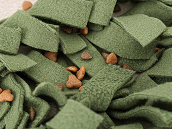 Hide kibble or treats inside the pockets