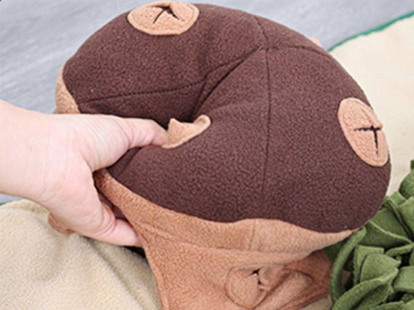Press the squeaker to attract your dog’s attention