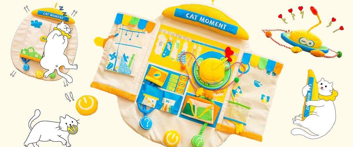 Overview of interactive cat play mat showing multiple play modes and activities