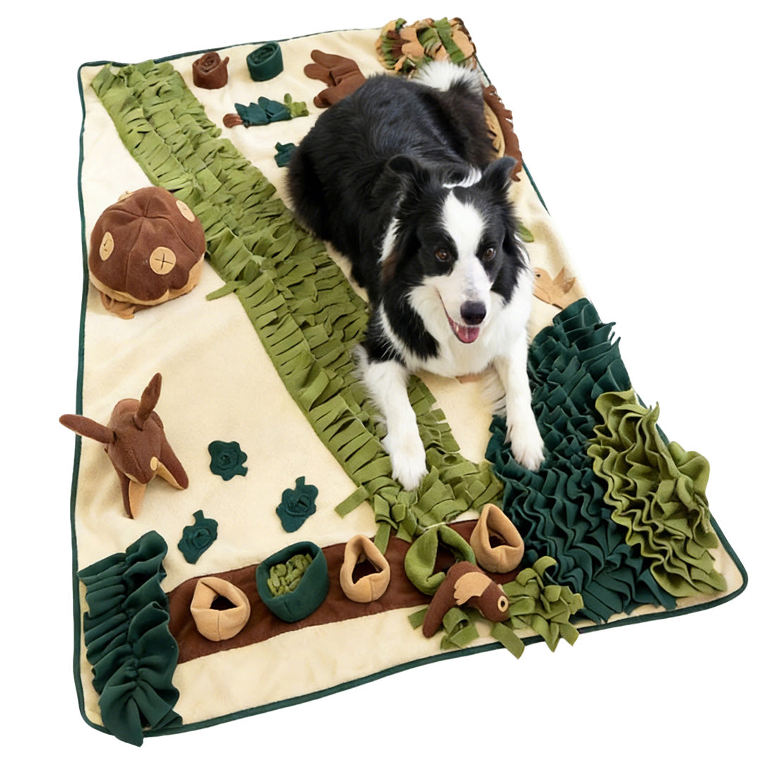 Large Dog Snuffle Mat