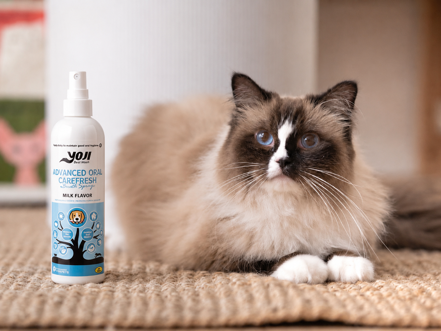 Milk flavor pet dental spray with cat for daily oral hygiene and fresher breath
