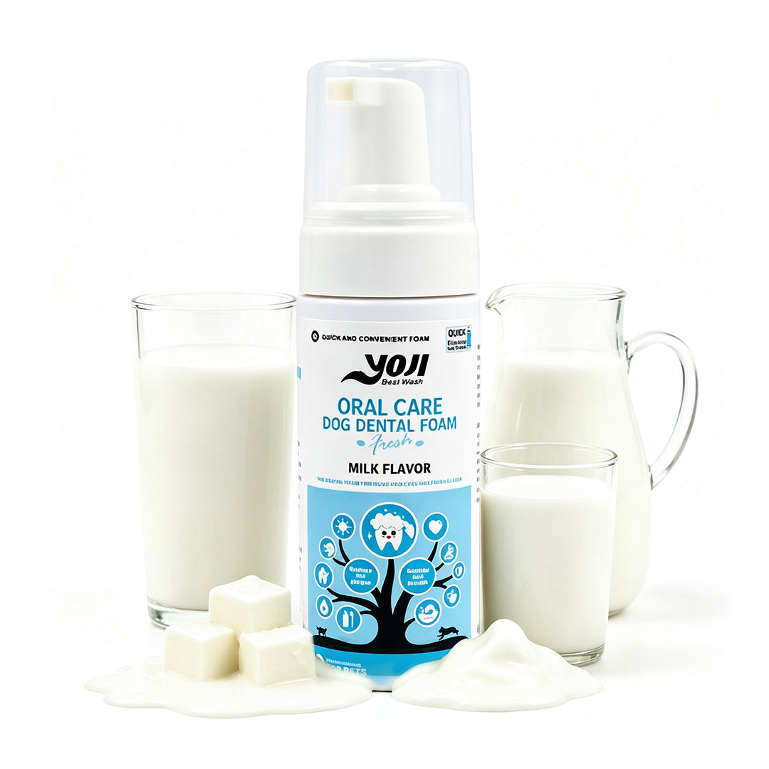 Oral care dog dental foam bottle in milk flavor for daily pet breath care