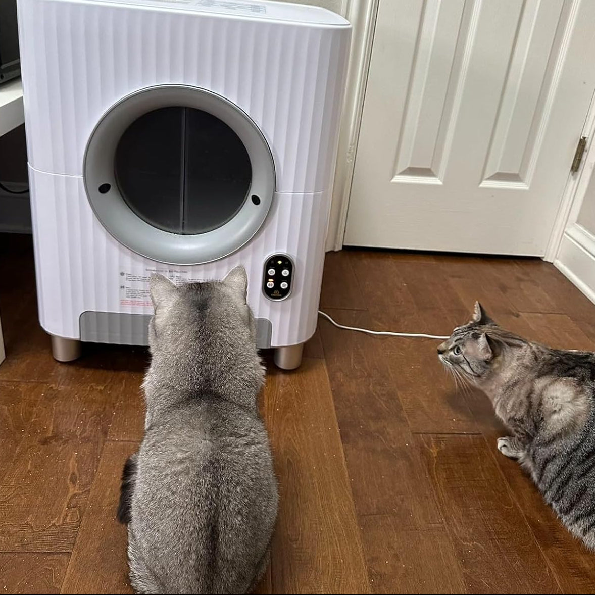 self cleaning litter box for modern pet cleaning