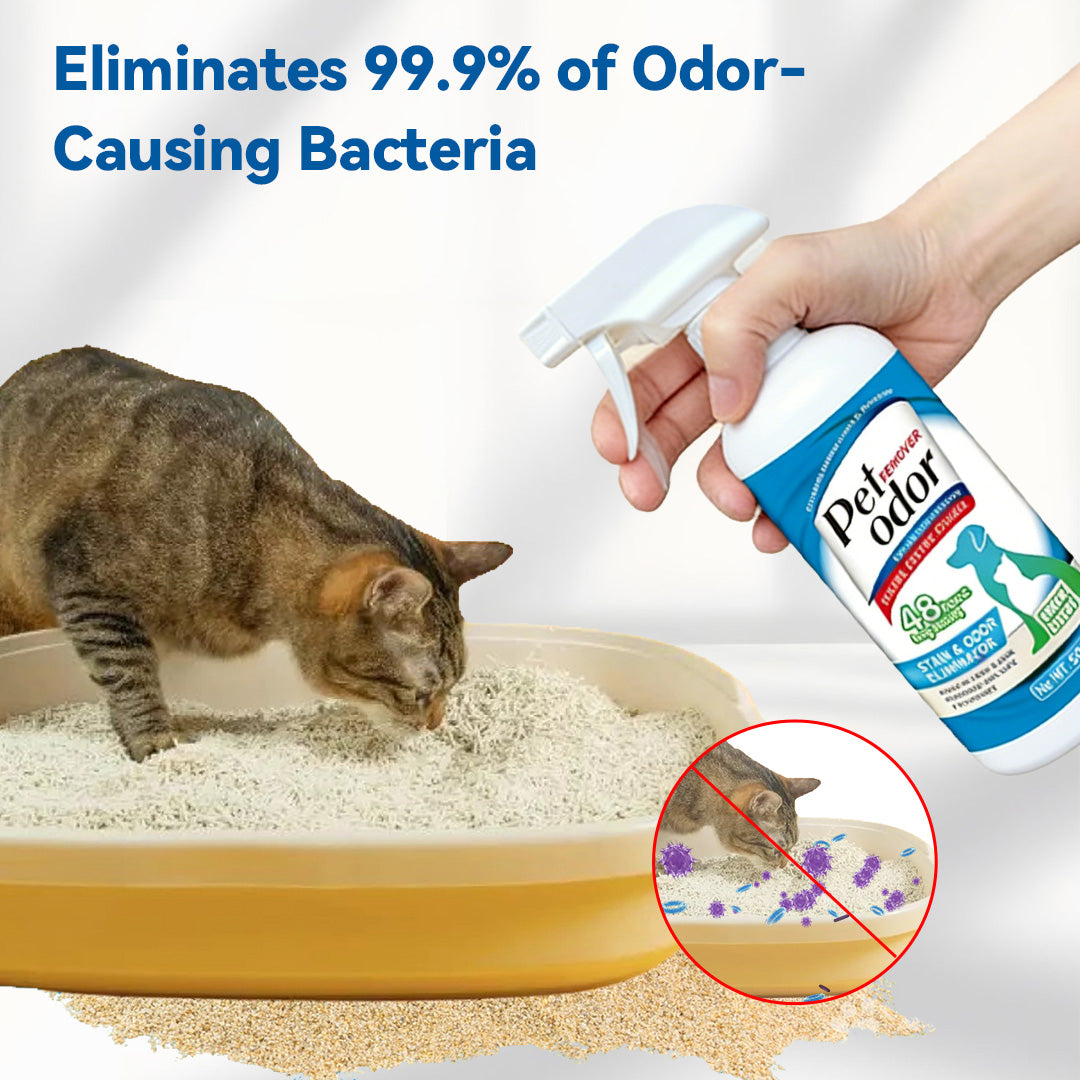 Natural Enzyme Pet Odor Spray eliminates most of odor causing bacterial