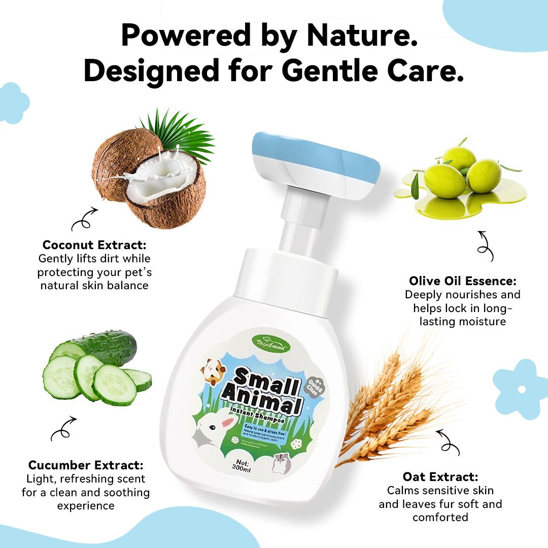 Natural Plant-Based No-Rinse Cleansing Foam made with oat extract, cucumber extract, and coconut-derived cleansers.
