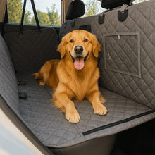 A dog lying on this Pet Car Seat Cover 