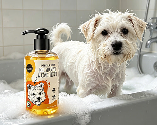 Oatmeal honey dog shampoo and conditioner bottle displayed beside a wet white dog standing in a bubbly bathtub.