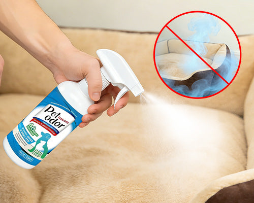 Before and after pet bed cleaning with spray