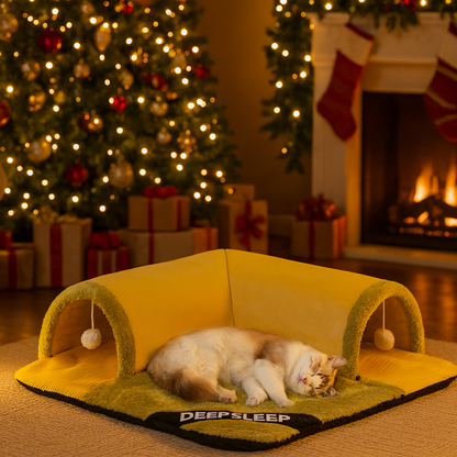 Christmas Cat Mat